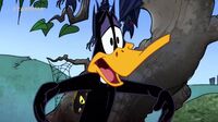 Looney Tunes Show  Ikq0ul69ixwu_t