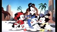 Animaniacs الضاحكون R0c6vvhokhfj_t